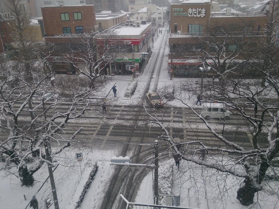 2014年2月8日 雪の大学通り2